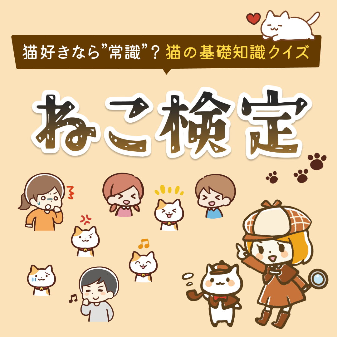 ねこ検定｜猫好きなら常識？猫の基礎知識クイズ