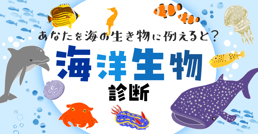 海洋生物診断｜あなたを海の生き物に例えると？